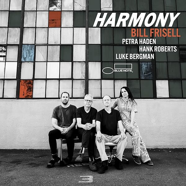 米2discs LP Bill Frisell Valentine B003217001 Blue Note /00660 Bill Frisell – Valentine | Releases | Discogs